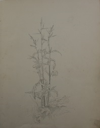 JD_S_00829